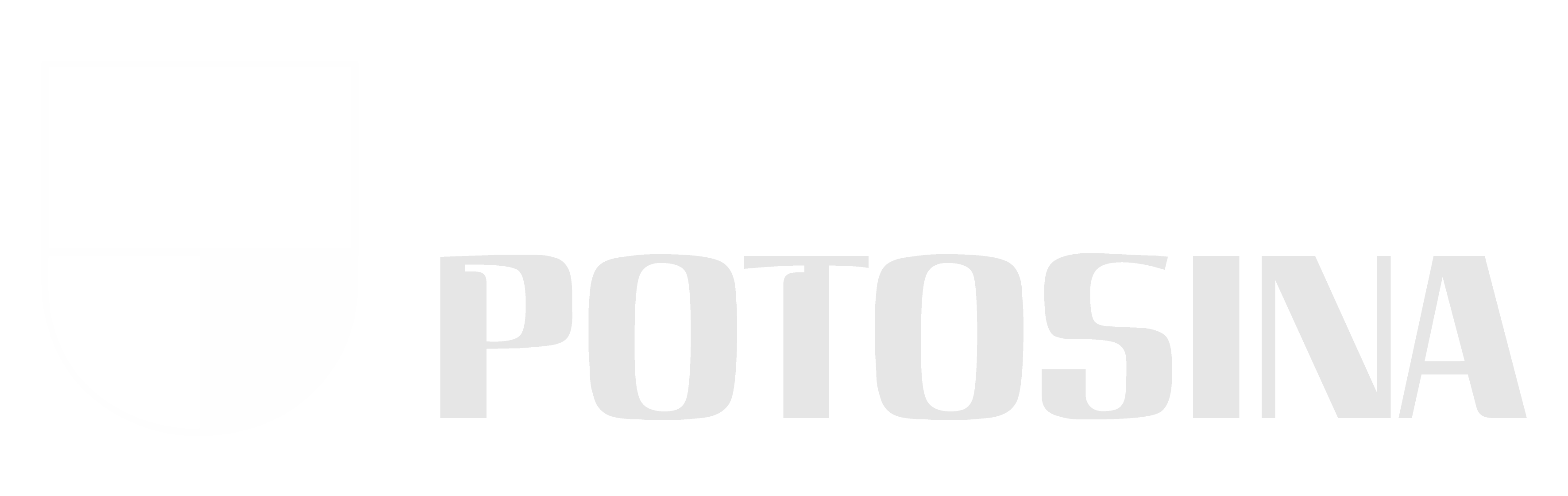 Universidad Potosina