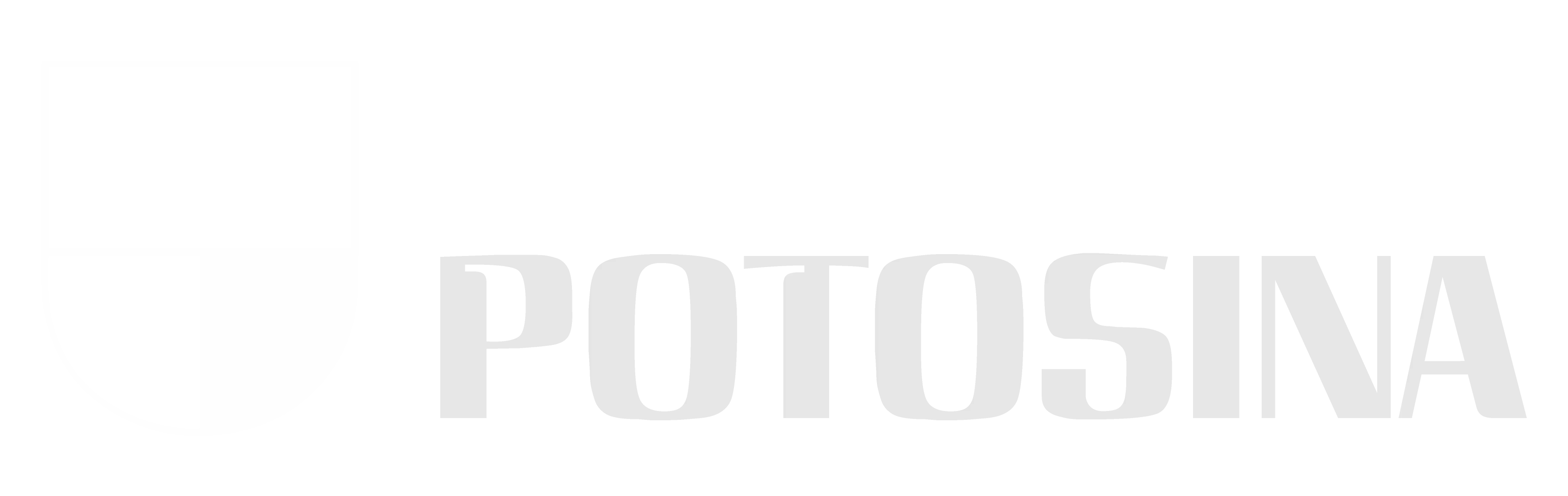 Universidad Potosina